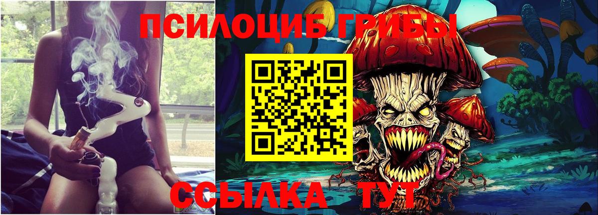 Псилоцибиновые грибы ЛСД Богородицк