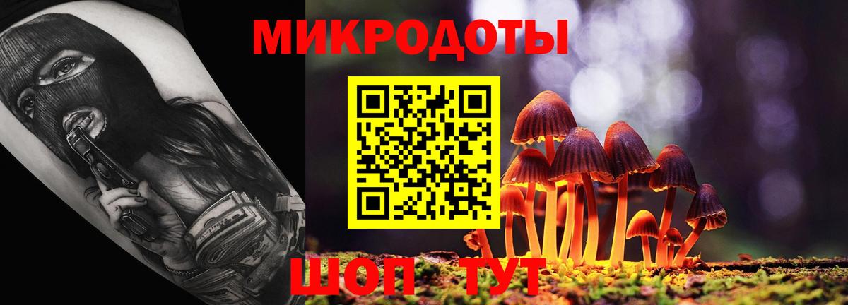 Богородицк  магазин продажи наркотиков  Вход с VPN  Псилоцибиновые грибы Magic Shrooms 